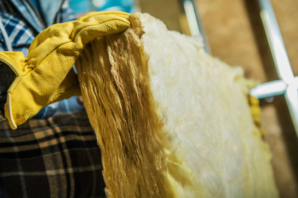 Best Insulation Maintenance and Repair in River Forest, IL
